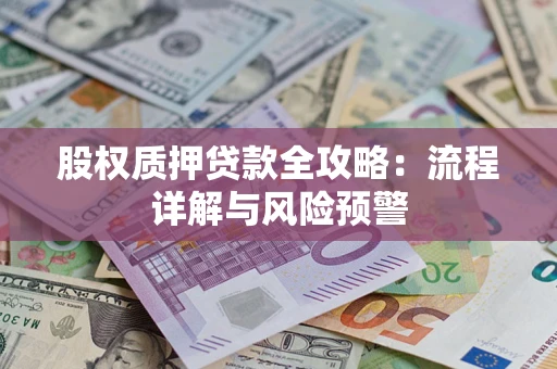 北京股权质押贷款全攻略：流程详解与风险预警