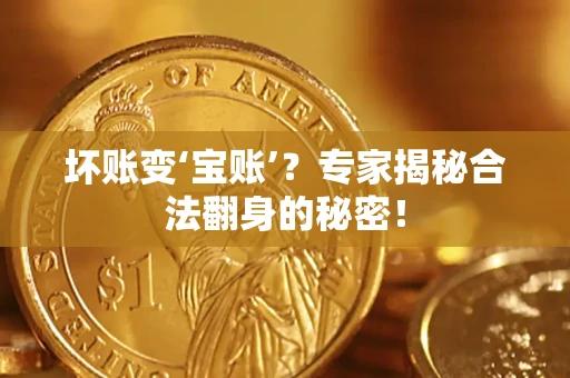 北京坏账变‘宝账’？专家揭秘合法翻身的秘密！