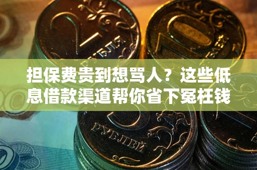 北京担保费贵到想骂人？这些低息借款渠道帮你省下冤枉钱