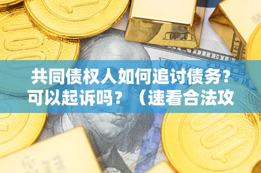 北京共同债权人如何追讨债务？可以起诉吗？（速看合法攻略）