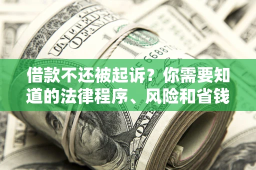 北京借款不还被起诉？你需要知道的法律程序、风险和省钱技巧