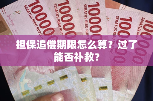北京担保追偿期限怎么算？过了能否补救？